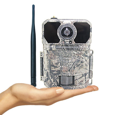 Nube antirrobo remota de la visión nocturna del App LTE GPS de Keepguard 4,0 que caza la cámara del rastro