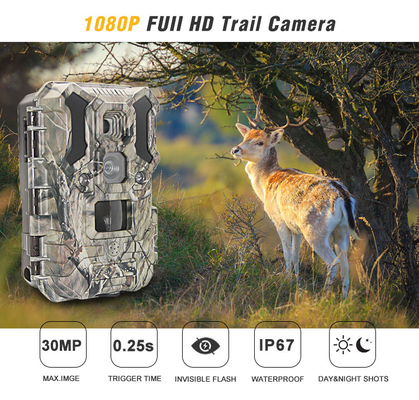 Cámara infrarroja 30MP 1080P IP66 de la caza de la fauna del LED