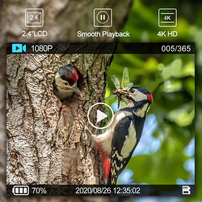 Cámara de rastreo de caza al aire libre WIFI con aplicación móvil de pantalla de visualización