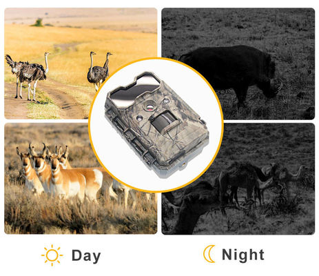 Cámara de vida silvestre activada por movimiento