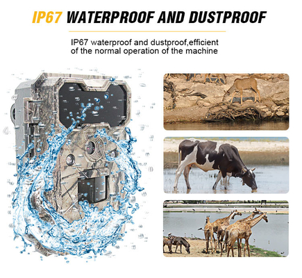 Cámaras de caza infrarrojas HD Cámara impermeable de exploración de vida silvestre 4G