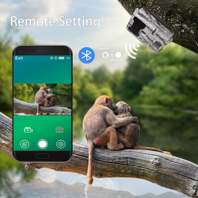 cámara APP del rastro de 940nm LED Wifi teledirigida ningún resplandor invisible
