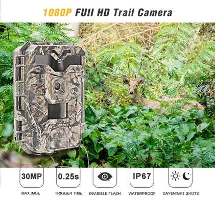 Pantalla HD de 2,4 pulgadas que caza la cámara llena de la caza del rastro del IR LED HD 1080P de las cámaras