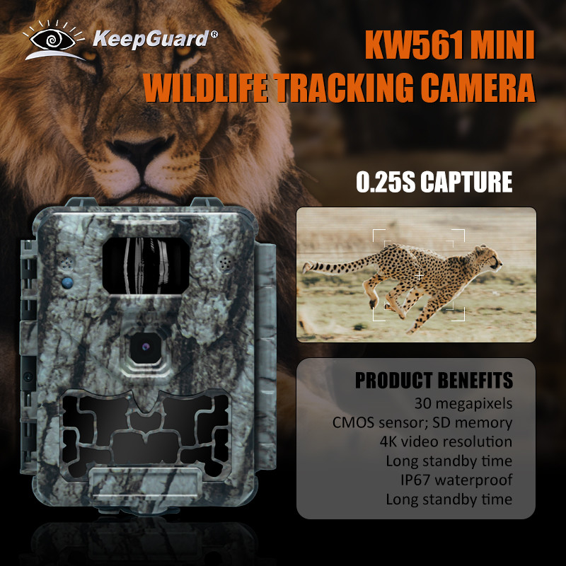 KW561 Wildlife Trail Infra Cam Mini 30MP 0.25s Velocidad Resolución de vídeo 4K Sensor CMOS a prueba de agua Memoria SD Visión nocturna