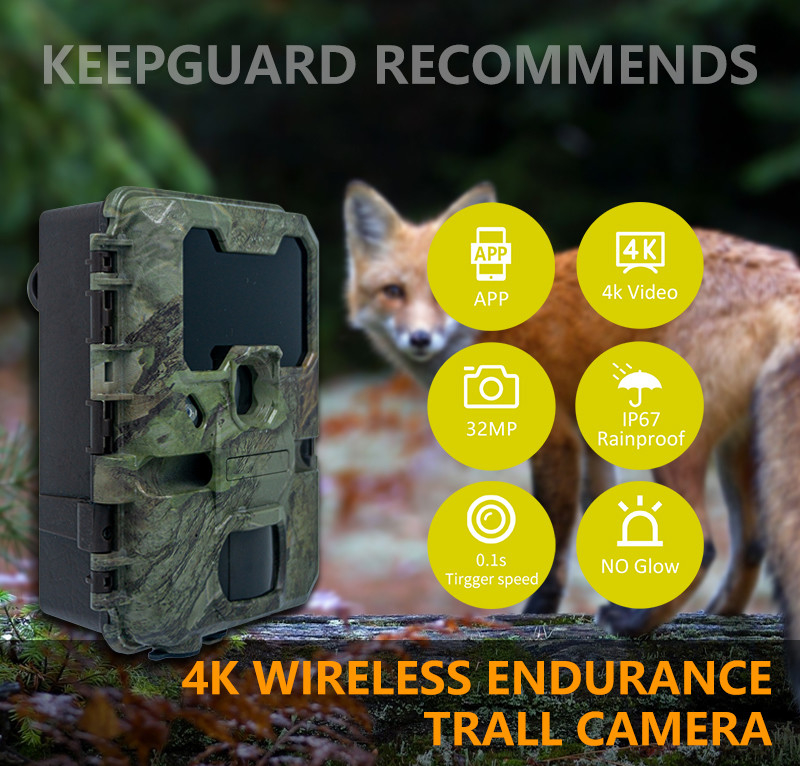 WIFI trail Camera KW866 impermeable IP67 OEM/ODM hasta 512GB Almacenamiento Tarjeta de memoria SD 32MP cámara de vida silvestre 4K