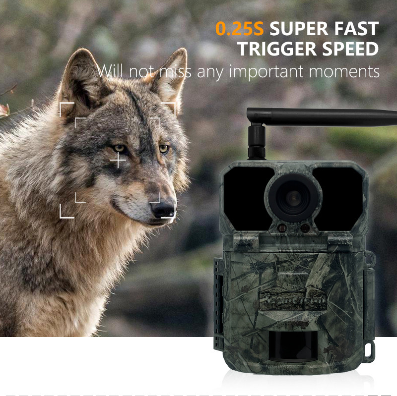 4G cámara de búsqueda de caza KW895 con APP 2K FHD Video 30MP de imagen impermeable IP67 hasta 512GB de almacenamiento para la investigación de la vida silvestre