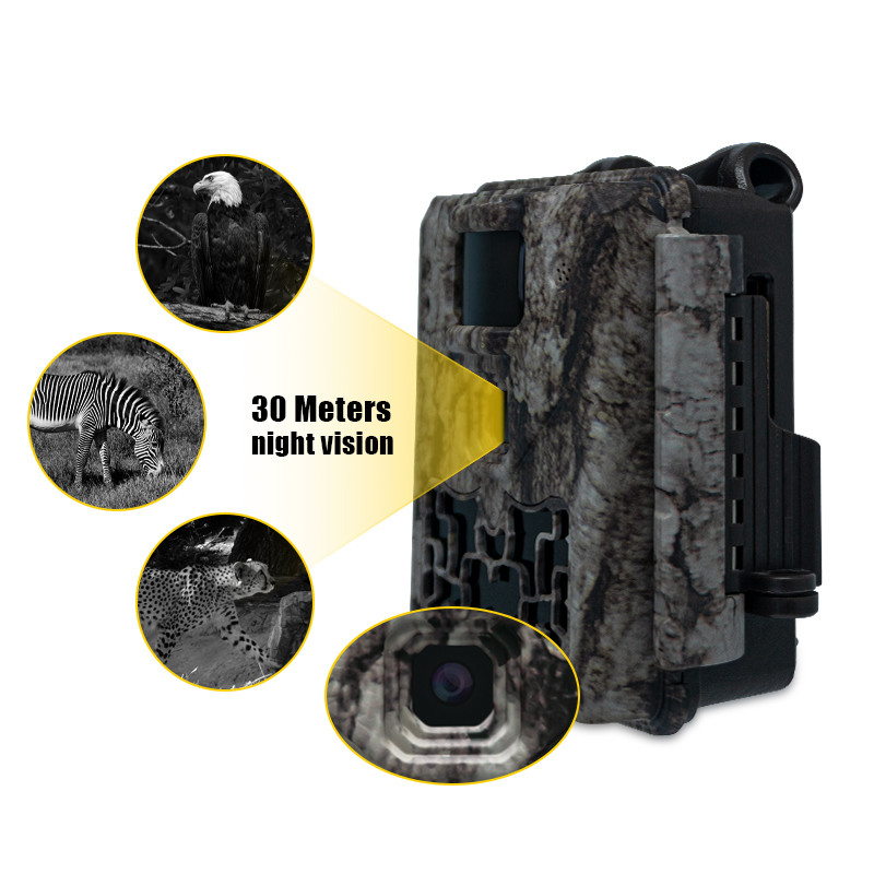 Camara de rastro de vida silvestre sin resplandor Imagen de 30MP 1080P Video a prueba de agua IP67 hasta 512GB Almacenamiento Precio competitivo Cámara de caza